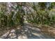 Long private driveway leading to the property, lined with lush trees at 5025 E Lake Mary Blvd, Sanford, FL 32771
