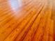 Hardwood floors throughout the home at 415 Braddock Ave, Daytona Beach, FL 32118
