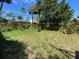 Large backyard with mature trees and room for landscaping at 415 Braddock Ave, Daytona Beach, FL 32118