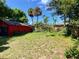Overgrown backyard with a red shed and potential at 415 Braddock Ave, Daytona Beach, FL 32118