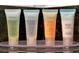 Eco-Botanics shampoo, conditioner, body wash, and lotion at 1375 Tuscana Ln # 1308, Davenport, FL 33896