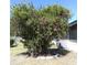 Mature flowering tree and AC unit in the backyard at 34939 Learn Rd, Leesburg, FL 34788