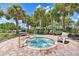 Relax in this community hot tub, surrounded by palm trees at 742 Orange Cosmos Blvd, Davenport, FL 33837