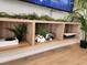 A media console with gaming consoles and plants at 8947 Shine Dr, Kissimmee, FL 34747