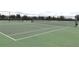 Well-maintained tennis courts with chain-link fencing at 1165 Trappers Trail Loop, Davenport, FL 33896