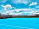 Community outdoor basketball court with blue surface at 4289 Lana Ave, Davenport, FL 33897