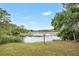 Peaceful backyard view of a pond and natural landscape at 10 Locust Run Crse, Ocala, FL 34472