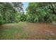 Partially wooded backyard with a spacious grassy area at 10 Locust Run Crse, Ocala, FL 34472