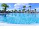 Sparkling community pool surrounded by palm trees at 3052 Cardillino Way, Kissimmee, FL 34741