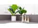 Modern bathroom sink with brushed nickel faucet and gray countertop at 4326 Scene Ln, Kissimmee, FL 34746