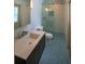 Modern bathroom with walk-in shower, updated vanity, and penny tile floor at 2955 Lolissa Ln, Winter Park, FL 32789