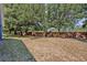 Large grassy backyard bordered by mature trees and a brick wall at 1112 Royal Marquis Cir, Ocoee, FL 34761