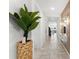 Elegant entryway with a large gold planter and view to living room at 3846 Cabo Rojo Dr, Saint Cloud, FL 34772