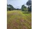 Large grassy backyard with mature trees and open space at 3128 Crystal Creek Blvd, Orlando, FL 32837