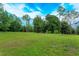 Serene backyard with lush green grass and mature trees at 35635 High Pines Dr, Eustis, FL 32736
