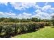Lush green landscape with manicured hedges at 7576 Excitement Dr, Reunion, FL 34747