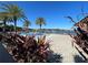 Resort-style pool with lake views and lush landscaping at 14154 Dove Hollow Dr, Orlando, FL 32824