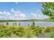 Scenic community lake view with lush landscaping and a partly cloudy sky at 5115 Lake Hamlin Trl, Winter Garden, FL 34787