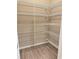 Well-organized pantry with ample shelving at 17926 Hither Hills Cir, Winter Garden, FL 34787