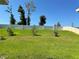 Spacious backyard with grassy lawn and privacy fence at 17926 Hither Hills Cir, Winter Garden, FL 34787