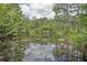Tranquil pond with lush vegetation and tree reflections at 700 Melrose Ave # E4, Winter Park, FL 32789