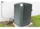 Outdoor AC unit on concrete slab at 30053 Island Club Dr, Tavares, FL 32778