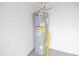 Residential water heater in a garage or utility room at 30053 Island Club Dr, Tavares, FL 32778