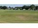 Golf course view with players and carts at 4739 Spring Grove Ln, Leesburg, Fl, FL 34748