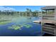 Calm lake view with lily pads and gazebo at 1709 Onondaga Dr, Geneva, FL 32732