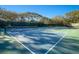 Two well-maintained pickleball courts surrounded by trees at 4407 Sea Mist Ct # 267, New Smyrna Beach, FL 32169