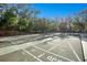Outdoor shuffleboard court nestled amongst the trees at 4407 Sea Mist Ct # 267, New Smyrna Beach, FL 32169