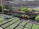 Greenhouse with many plants in trays and pots ready for planting at 424 E Welch Rd, Apopka, FL 32712