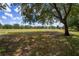 Landscaped backyard with pond and large oak tree at 244 Capri Dr, Davenport, FL 33897