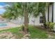 Small backyard with palm trees and satellite dish at 3651 N Goldenrod Rd # B107, Winter Park, FL 32792