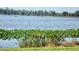 Tranquil lake view with lily pads and distant shoreline at 4146 Versailles Dr # 4146D, Orlando, FL 32808