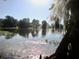 Scenic view of calm lake with tree and distant houses at 4146 Versailles Dr # 4146D, Orlando, FL 32808