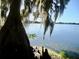 Picturesque view of a lake with lush vegetation and cypress trees at 4146 Versailles Dr # 4146D, Orlando, FL 32808