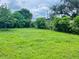 Large grassy backyard with mature trees and lush landscaping at 1393 Beverly Ln, Casselberry, FL 32707