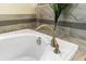 Close-up of soaking tub with gold faucet at 8903 Stinger Dr, Davenport, FL 33896