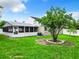 Large backyard with lush grass, a tree, and a screened patio at 428 Short Pine Cir, Orlando, FL 32807