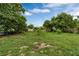 Large backyard with lush grass and trees at 1759 Tallo Way, Orlando, FL 32818