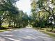 Tree-lined street showcasing the beauty of the neighborhood at 9060 Heritage Bay Cir, Orlando, FL 32836