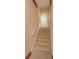 Elegant carpeted staircase with tile flooring at the bottom at 1750 Taylor Woods Rd, Deland, FL 32724