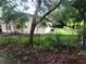 View of the backyard, showing a house and overgrown vegetation at 2107 Vincent Rd, Orlando, FL 32817