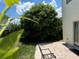 Backyard with a mango tree and patio at 306 Athabasca Pl, Kissimmee, FL 34759