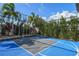 Enjoy a game of basketball next to the pool in this backyard at 8300 Ludington Cir, Orlando, FL 32836