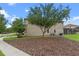 Landscaped side yard with a tree and mulch at 1424 Rolling Fairway Dr, Davenport, FL 33896
