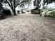 Large backyard with mature trees at 520 Avenue L Se, Winter Haven, FL 33880