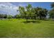 Expansive grassy area with mature trees and a home visible in the background at 16600 Cleveland Ln, Umatilla, FL 32784