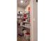 Well-organized pantry with ample shelving for storage at 3882 Willow Ridge Dr, Lakeland, FL 33810